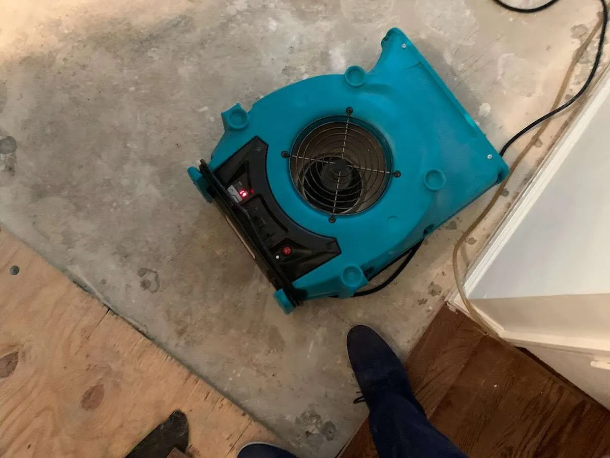 Air mover drying subfloor during Commercial Water Damage Restoration in Rostraver